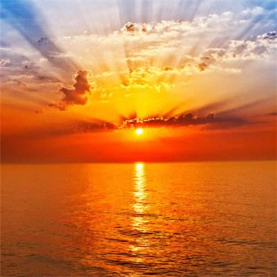 BB贝博平台登录app下载